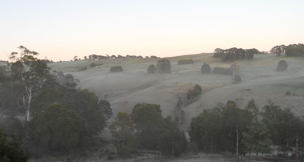 Frost coating the hills surrounding our Boolarra farm