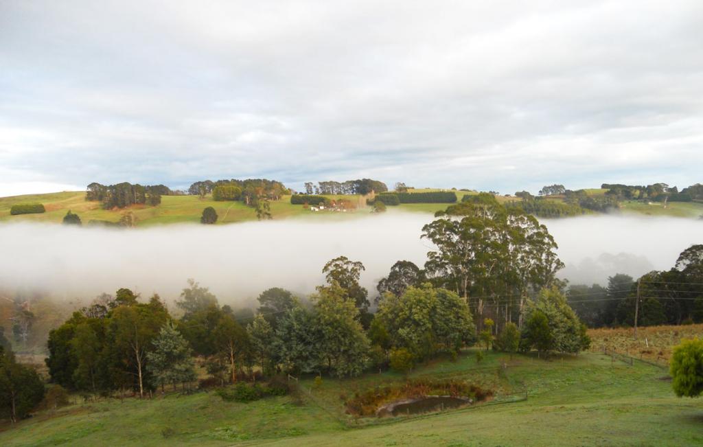 View from Boolarra Farm at Stokesay Mohair Farm