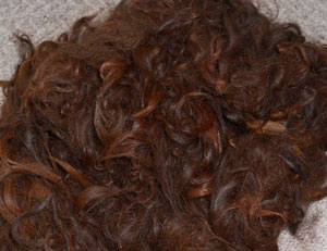 Image of Washed Alpaca Fibre in natural dark brown
