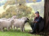 Alison and part of her flock at the Boolarra Sth farm, image courtesy of The Weekly Times